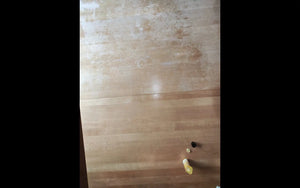 A4619f86fcbae493699670f7e240098acP.jpg