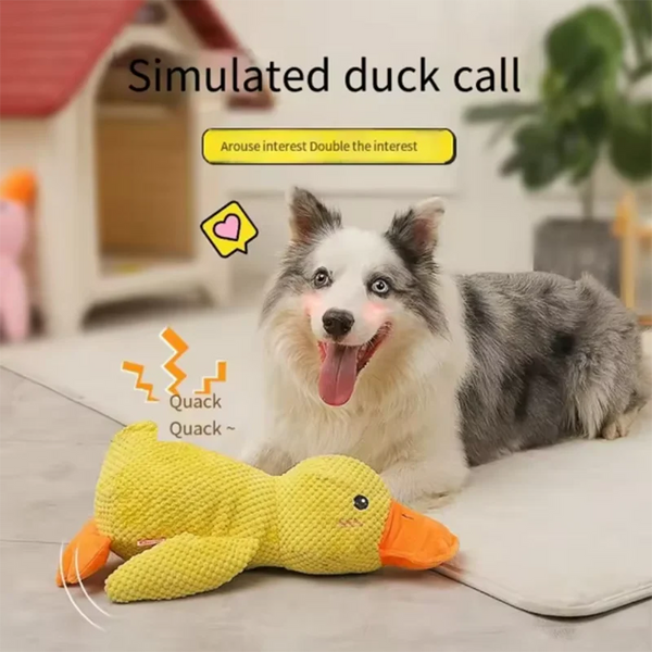 Pluche Speelgoed Eend voor Honden