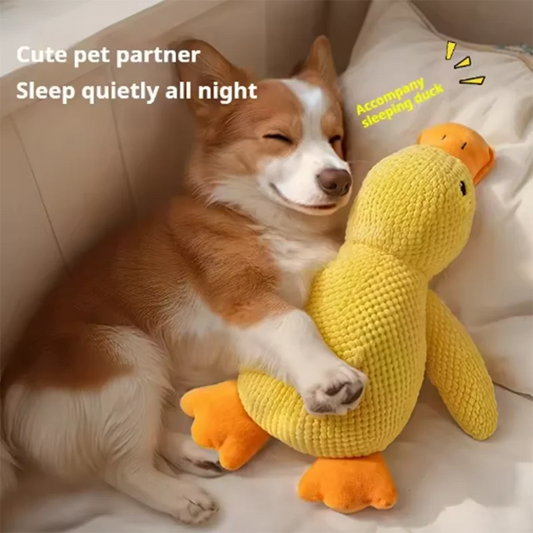 Pluche Speelgoed Eend voor Honden