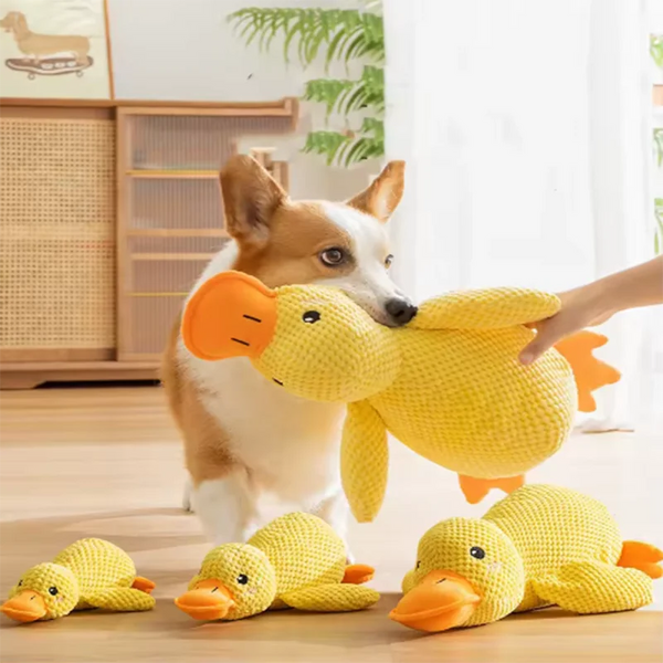 Pluche Speelgoed Eend voor Honden