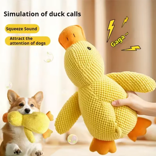 Sd4df8882d9d44aab984fcc2f06d6a22eZ.png